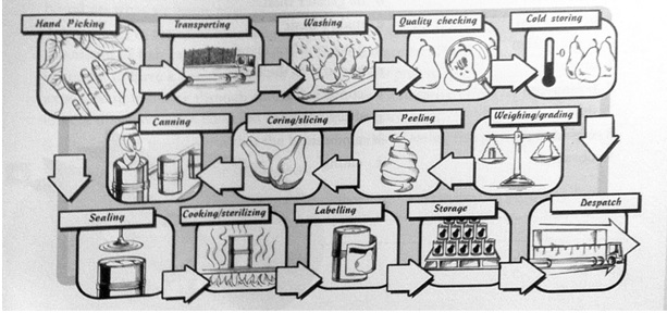 sample ielts process diagram