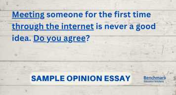 Sample ielts opinion essay 2 meeting someone through internet