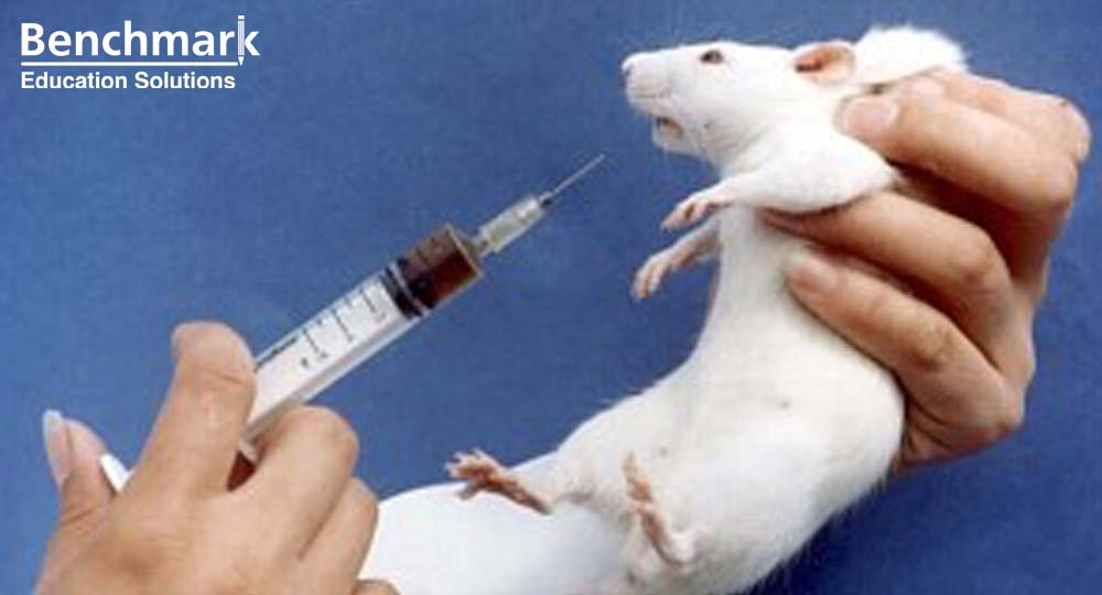 PTE Essay 6 - Scientific Animal Experimentation is justified?