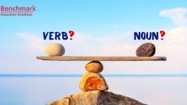 noun and a verb