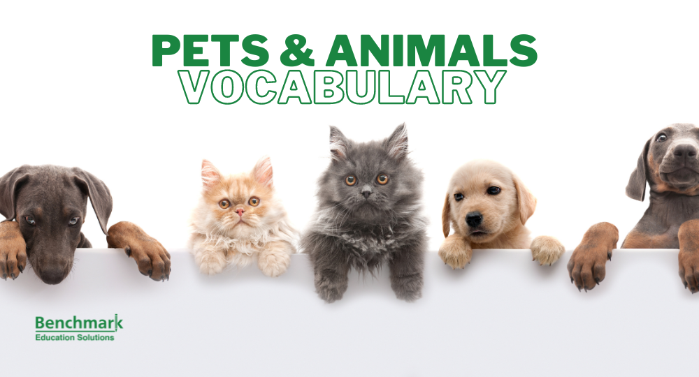 IELTS Pets and Animals Vocabulary - Wildlife Vocabulary